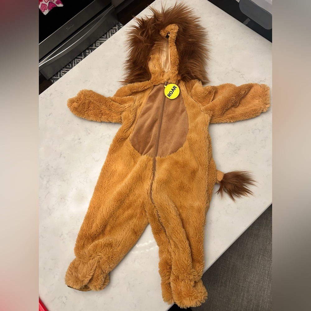 Infant lion costume- worn once for a short period of time. Great condition